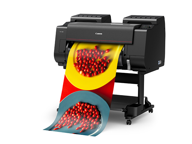 Large printing of berries in bowls from Canon wide format printer